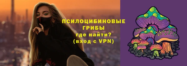 крисы Протвино